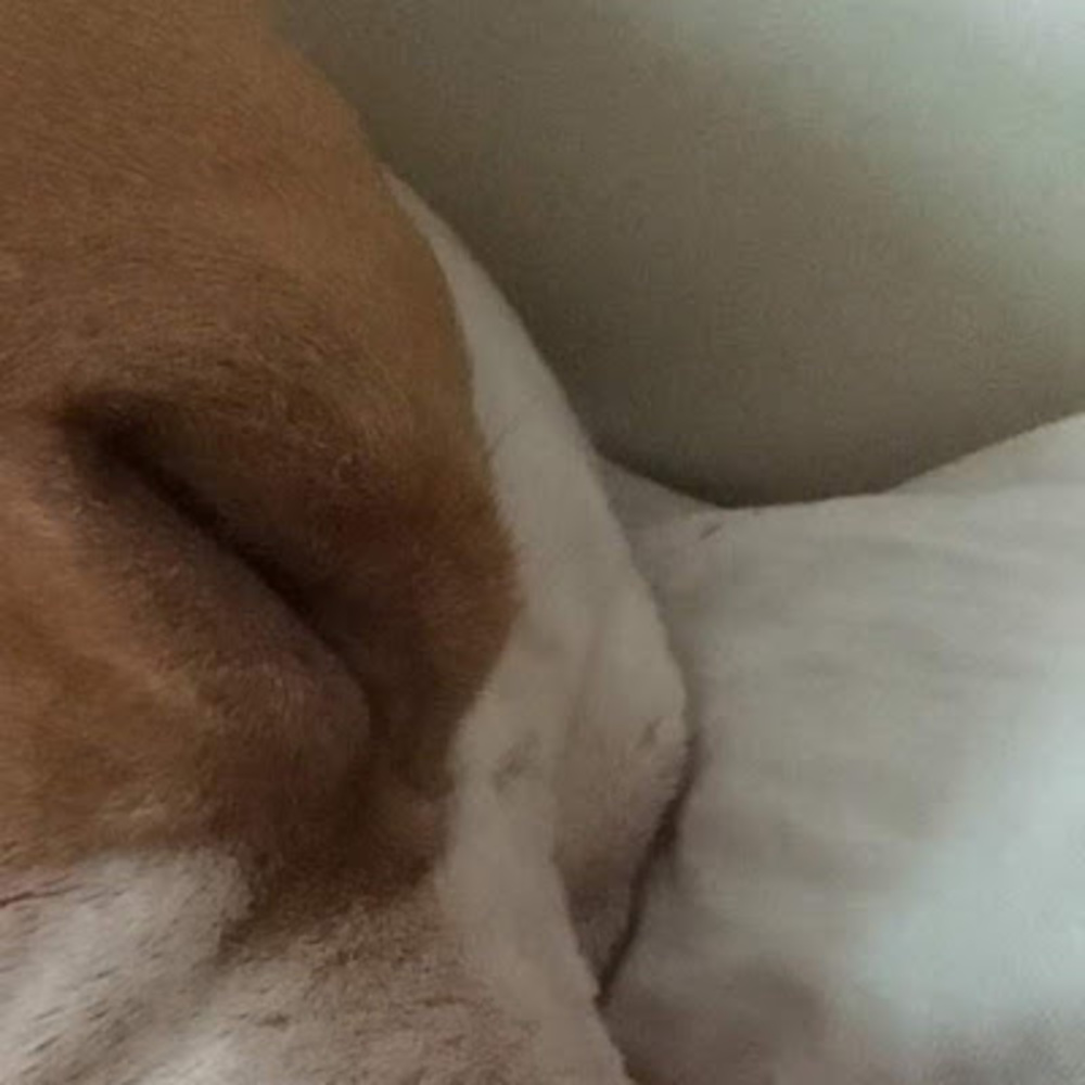 Meet your Posher, Tavski